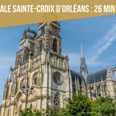 Le Micy - Joli T2 + Parking Apartment Orleans Luaran gambar